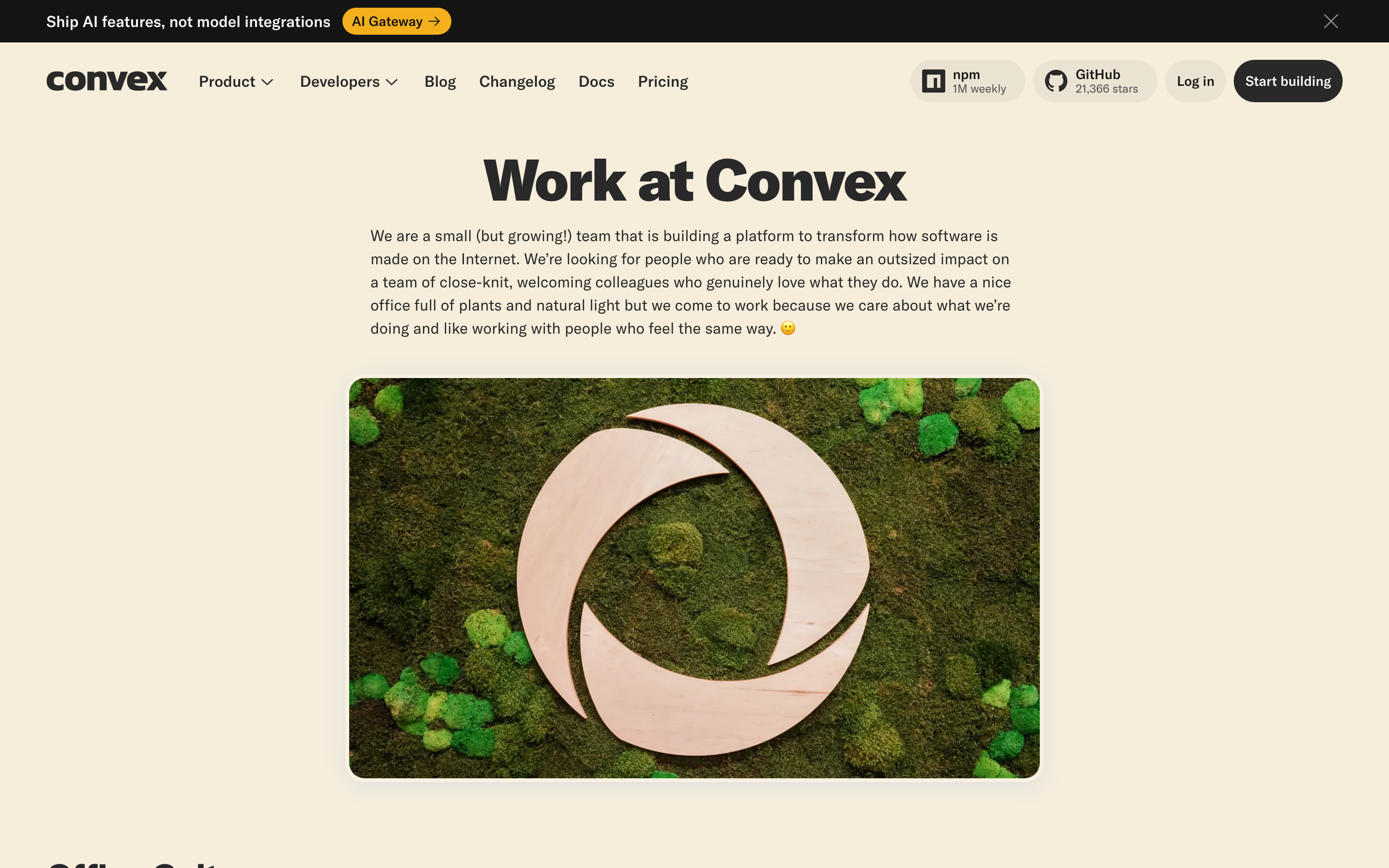 Convex careers page