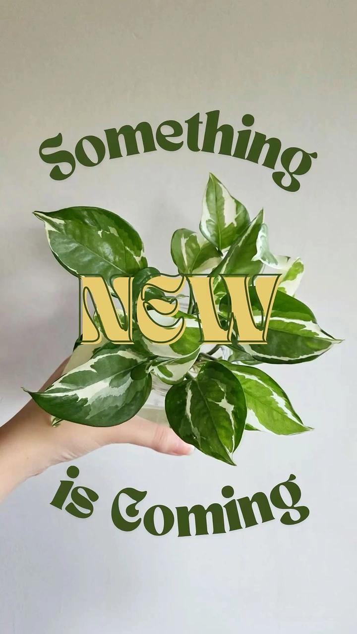 Plant Shops & Nurseries creative ad: Plant-integrated teaser typography