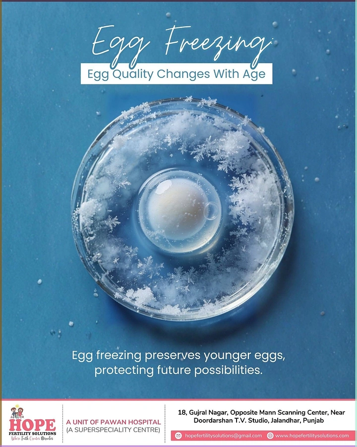 IVF & Fertility Clinics creative ad: Frozen egg in icy dish metaphor