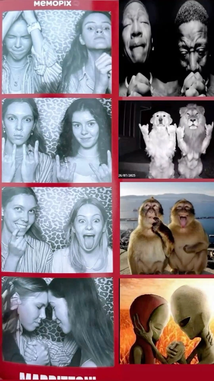 Photo Booth Rentals creative ad: Face booth grid paired with animals