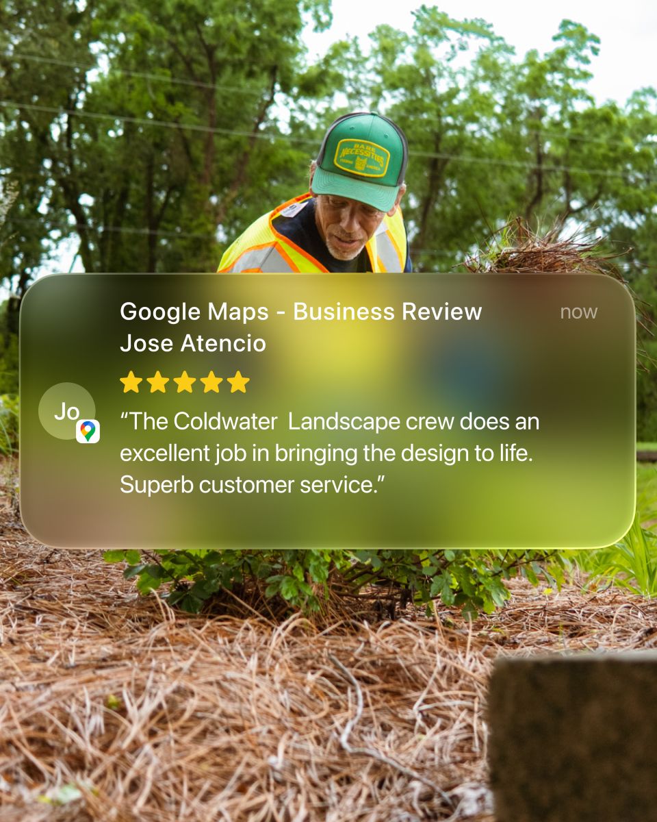 Instagram post: Google review card as testimonial overlay