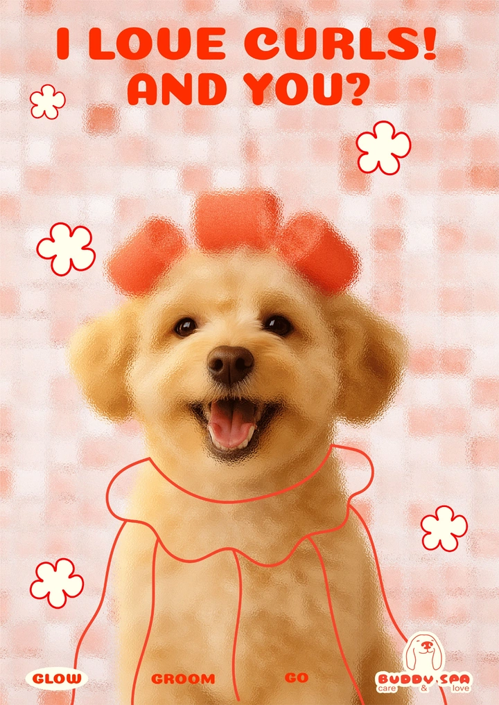 Pet Grooming creative ad: Curlers on poodle, playful 'love curls' hook