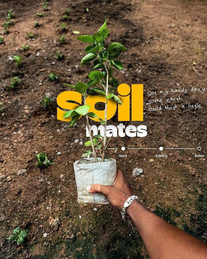 Landscaping & Gardening creative ad: 'Soil mates' pun with sapling in hand