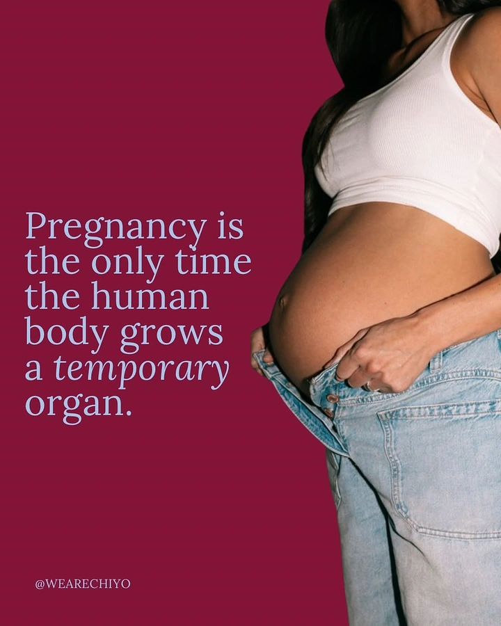 IVF & Fertility Clinics creative ad: Witty 'temporary organ' fact, bold layout