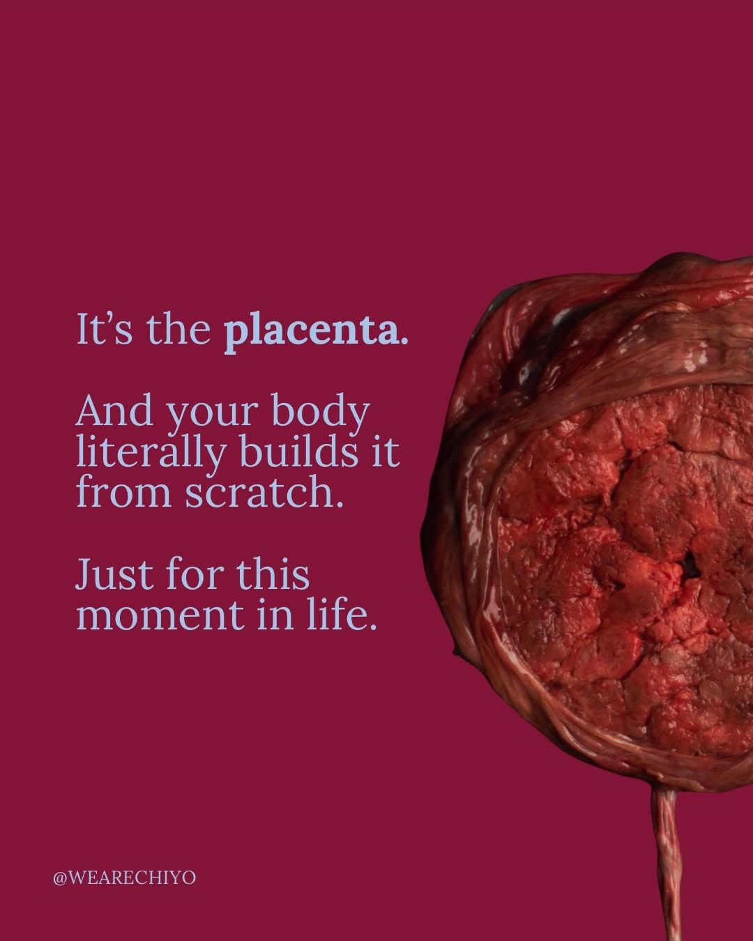 Instagram post: Witty 'temporary organ' fact, bold layout, slide 2