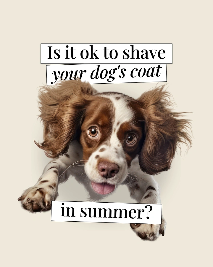 Pet Grooming creative ad: Dog leaps out between headline strips