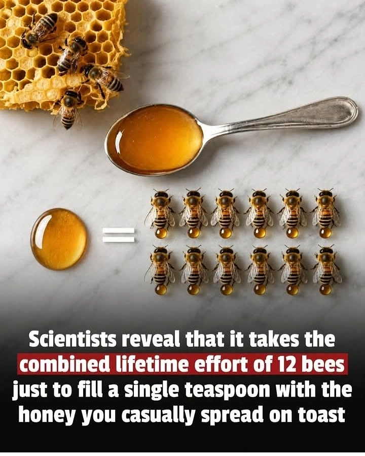 Honey Brands creative ad: Bee-count visualizes honey effort
