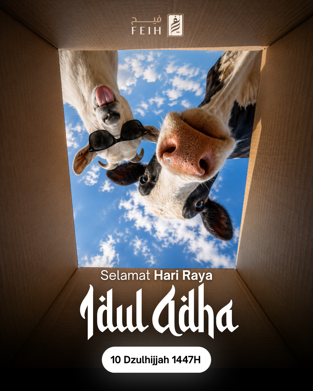 Eid Instagram post: Two cows peering down into a cardboard box against a blue sky