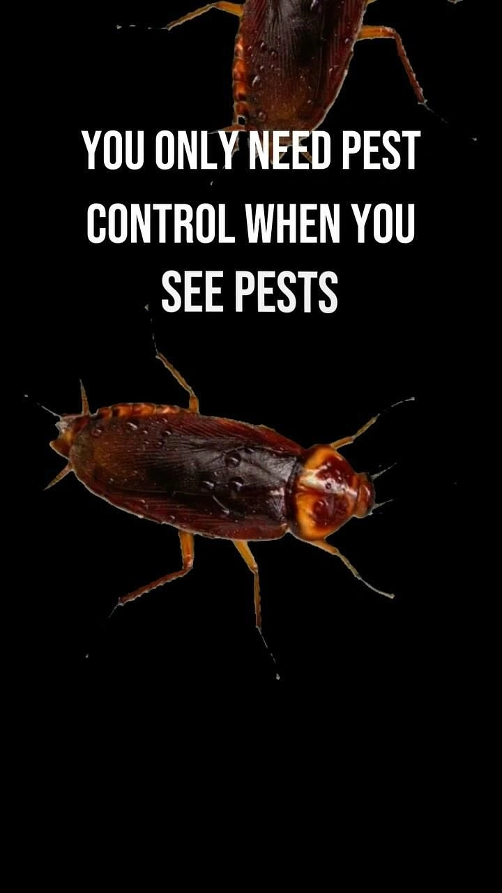 Pest Control creative ad: Witty copy flanked by stark roaches