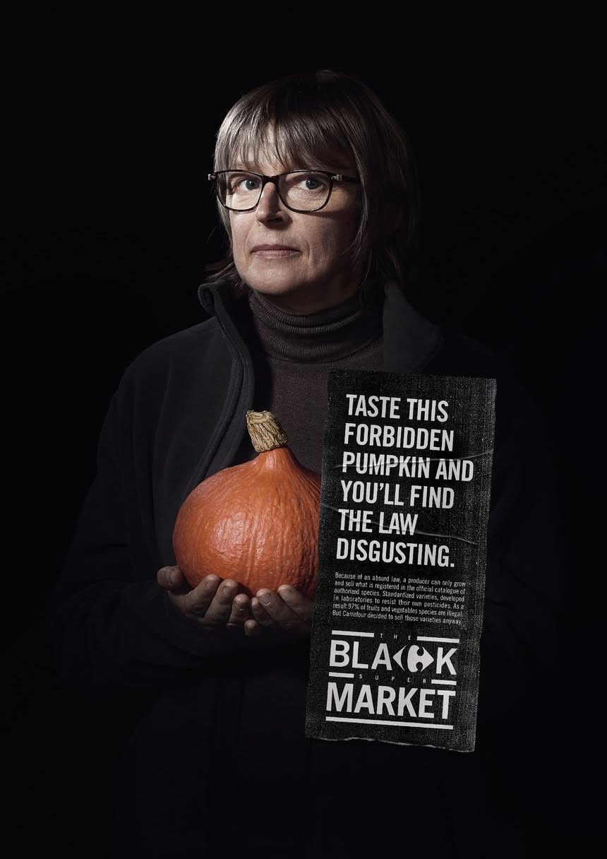 Poster: Woman holding a red kuri pumpkin against black