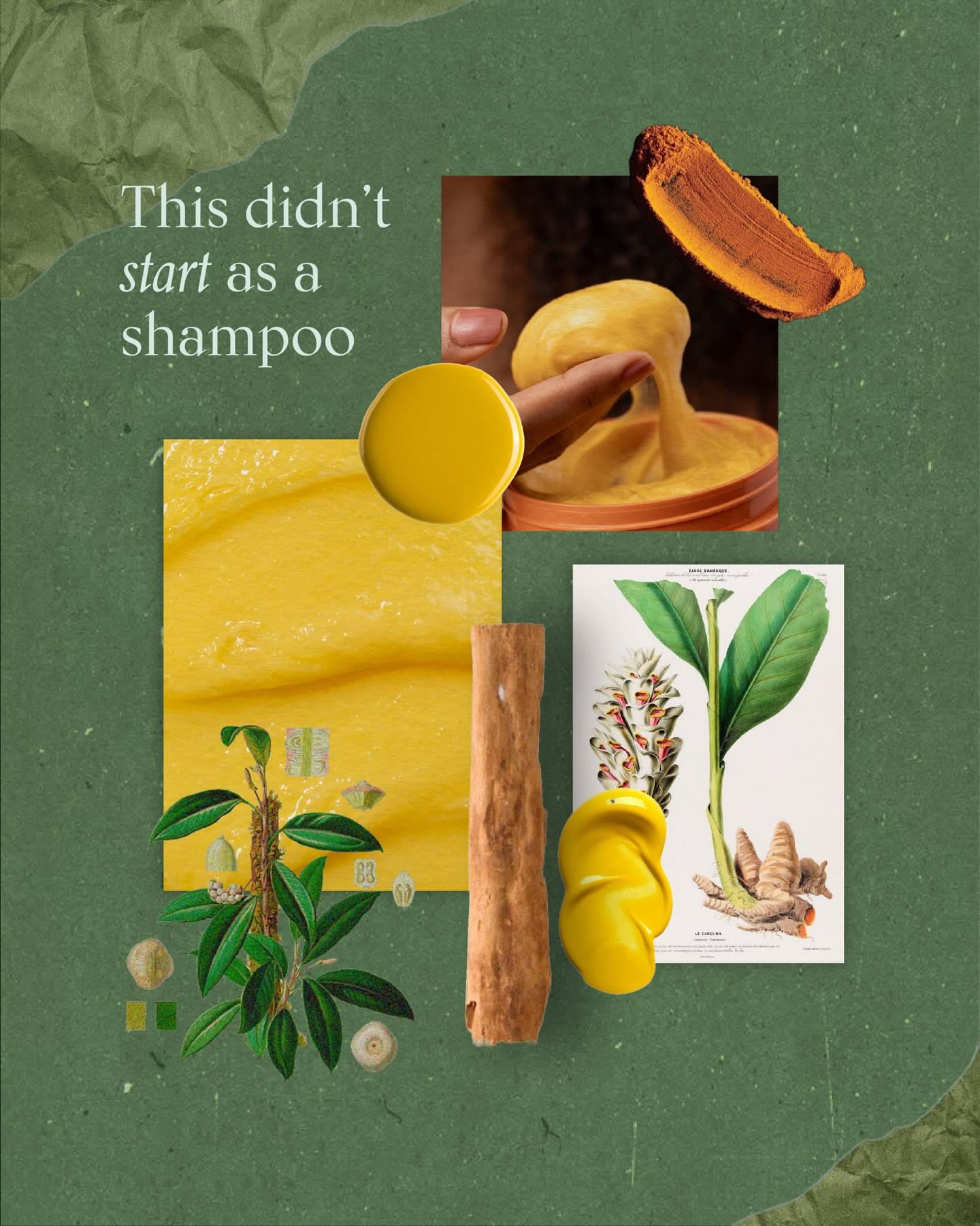 Carousel: Moodboard collage of turmeric, textures and botanical prints, slide 1