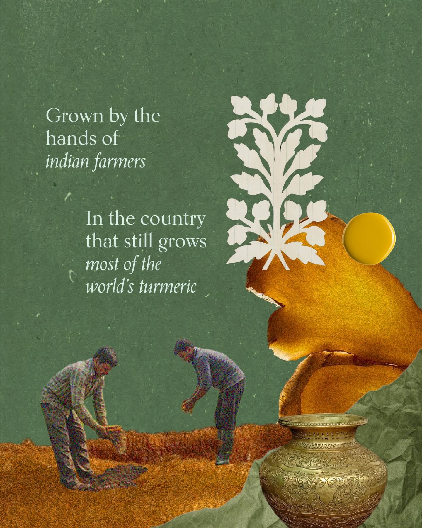 Carousel: Moodboard collage of turmeric, textures and botanical prints, slide 4