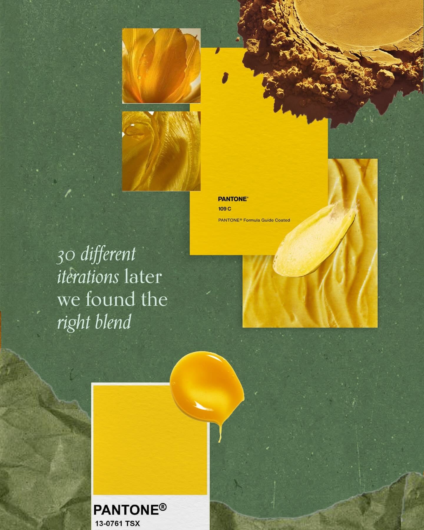 Carousel: Moodboard collage of turmeric, textures and botanical prints, slide 5