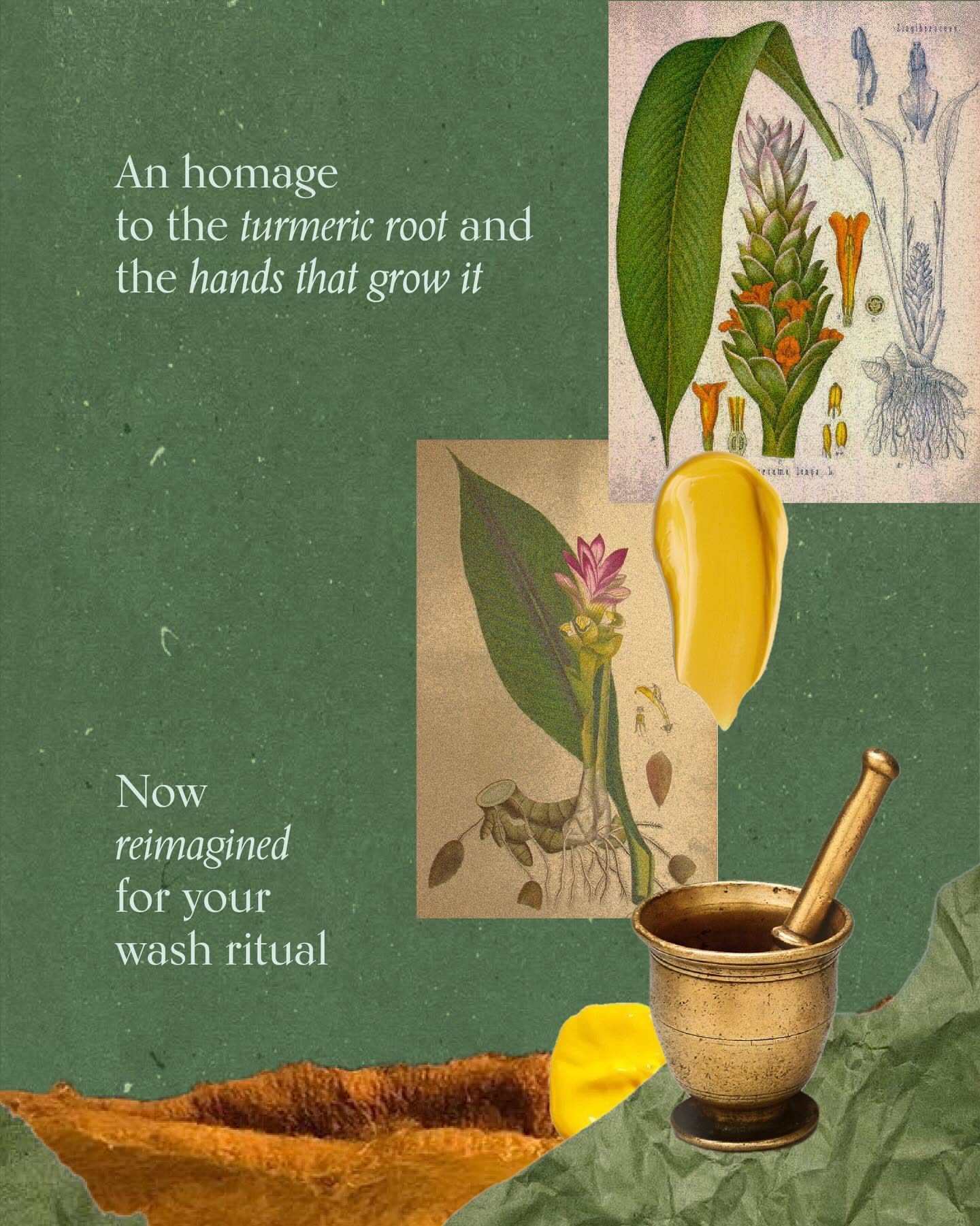 Carousel: Moodboard collage of turmeric, textures and botanical prints, slide 6