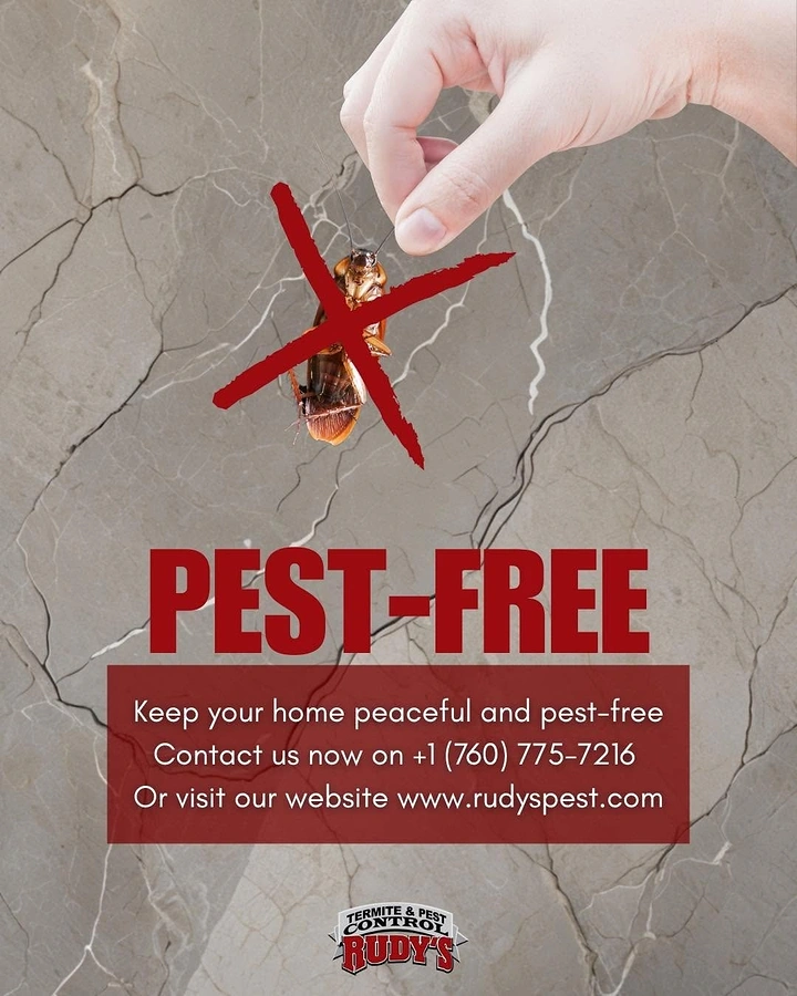Pest Control creative ad: Hand plucking crossed-out roach, bold type