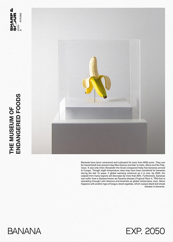 Nonprofit & Social Cause creative ad: Half-peeled banana pinned inside an acrylic museum vitrine