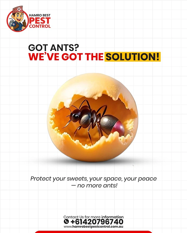 Pest Control creative ad: Ant nestled in cracked chocolate sweet