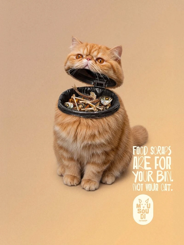 Pets creative ad: Ginger cat whose head opens like a bin lid full of food scraps