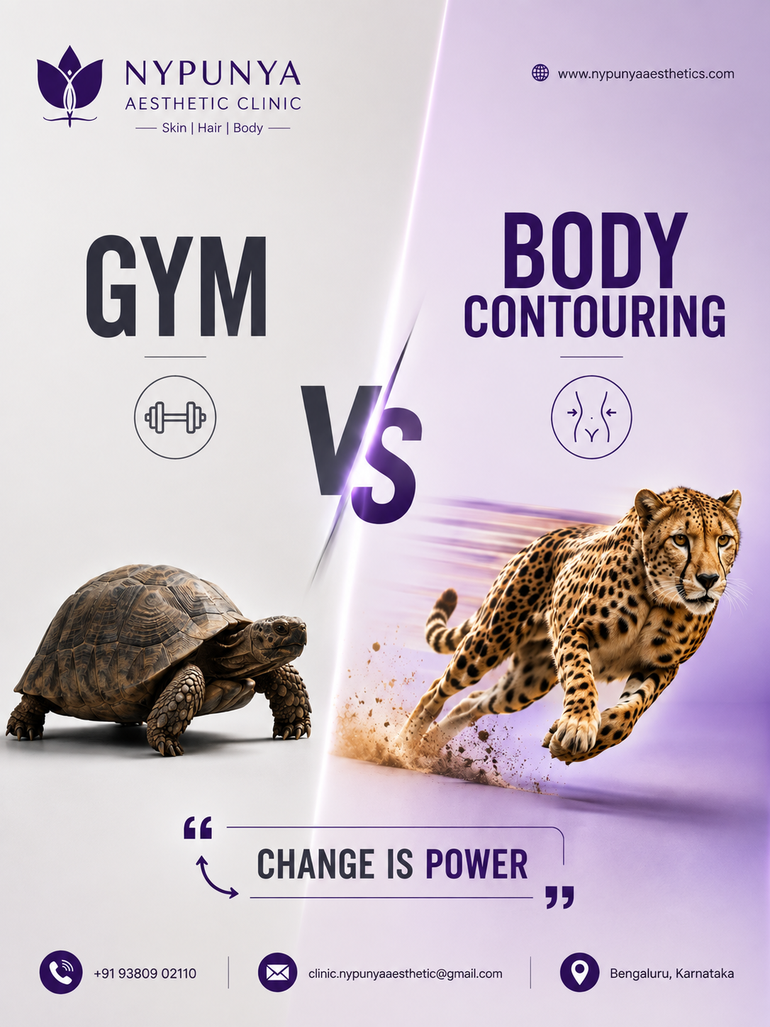 Instagram post: Tortoise-versus-cheetah transformation metaphor
