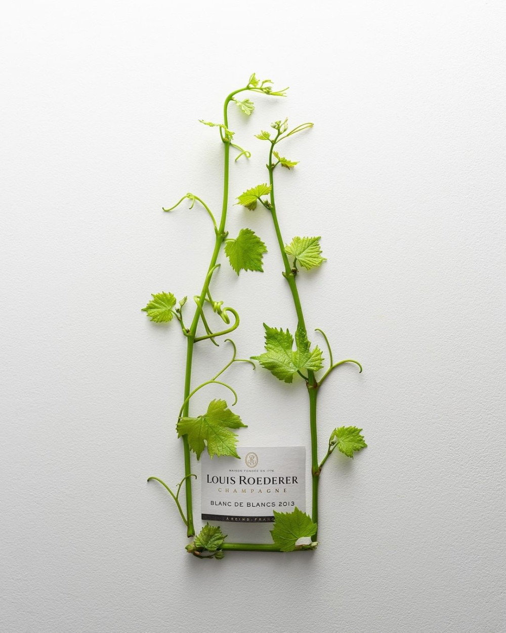 Instagram post: Fresh grapevines shaped into a champagne bottle outline with the label