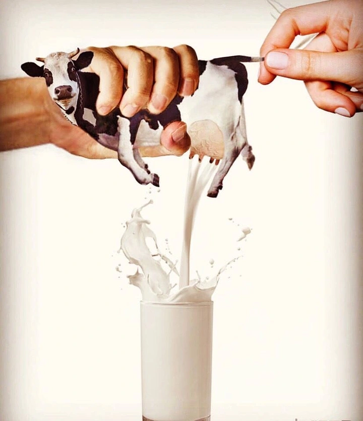 Dairy Brands creative ad: Cow squeezed like tube into glass