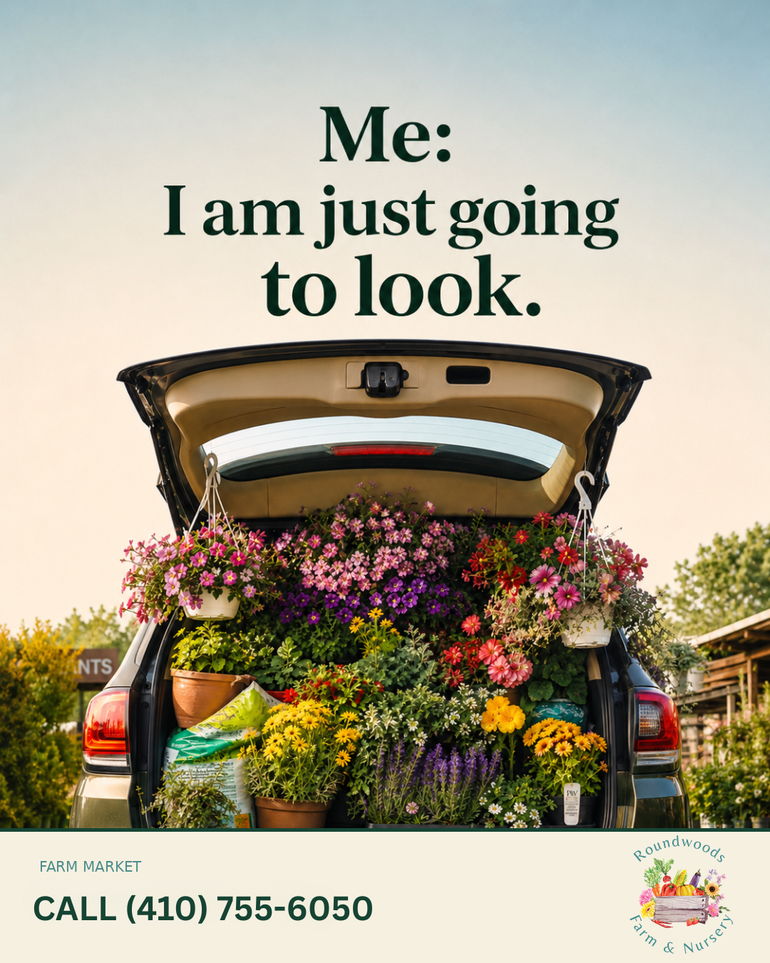 Instagram post: Open SUV trunk overflowing with flowering plants