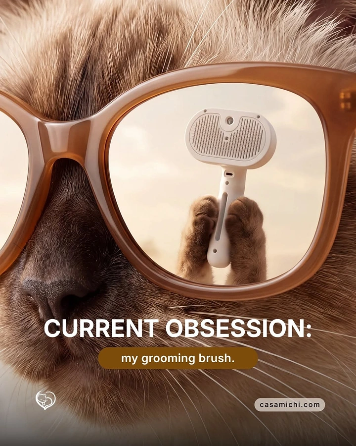 Pet Grooming creative ad: Grooming brush reflected in cat's sunglasses