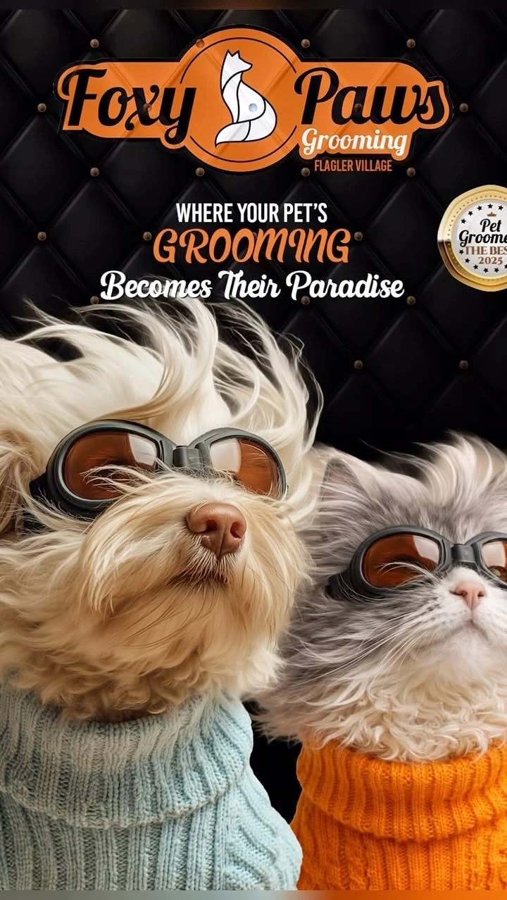 Pet Grooming creative ad: Windswept pets in goggles, playful paradise
