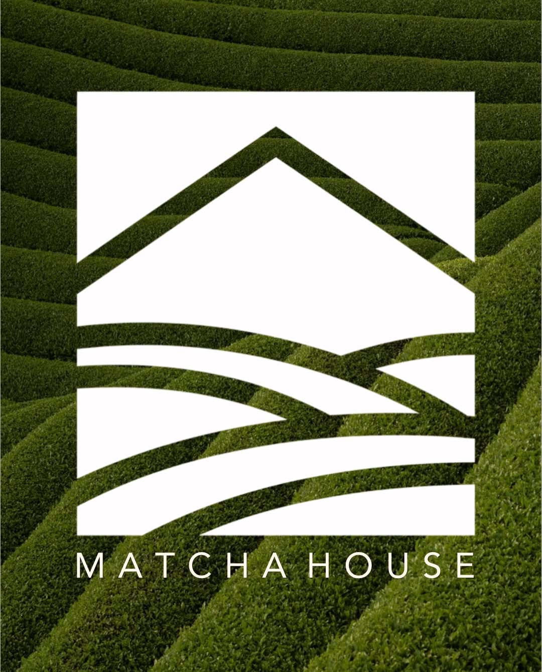 Instagram post: Logo mirrors terraced tea field rows, slide 1