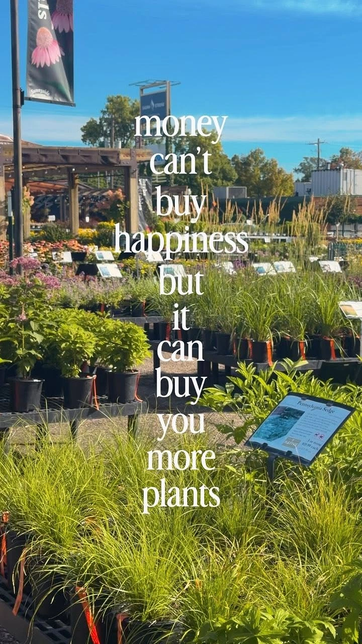 Plant Shops & Nurseries creative ad: Witty money-and-plants visual message