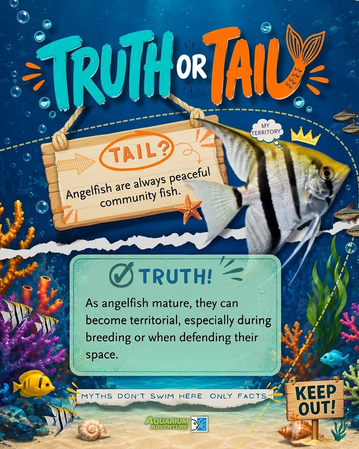 Aquarium Shops creative ad: Truth or Tail myth-busting pun