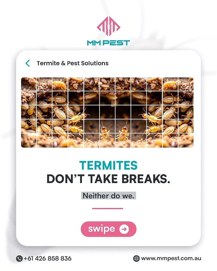 Pest Control creative ad: 'Termites don't take breaks' witty copy