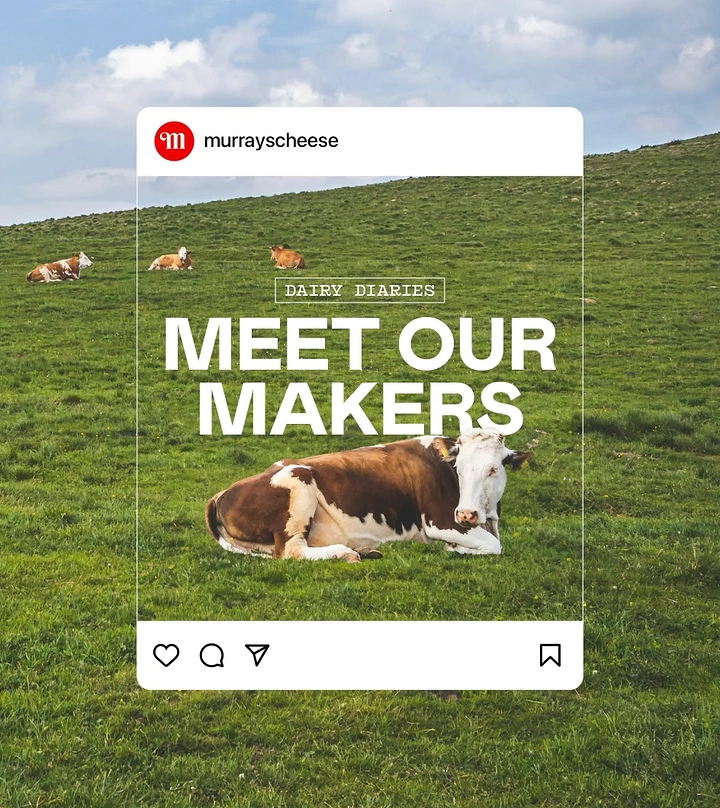 Dairy Brands creative ad: Social post framing cows as makers