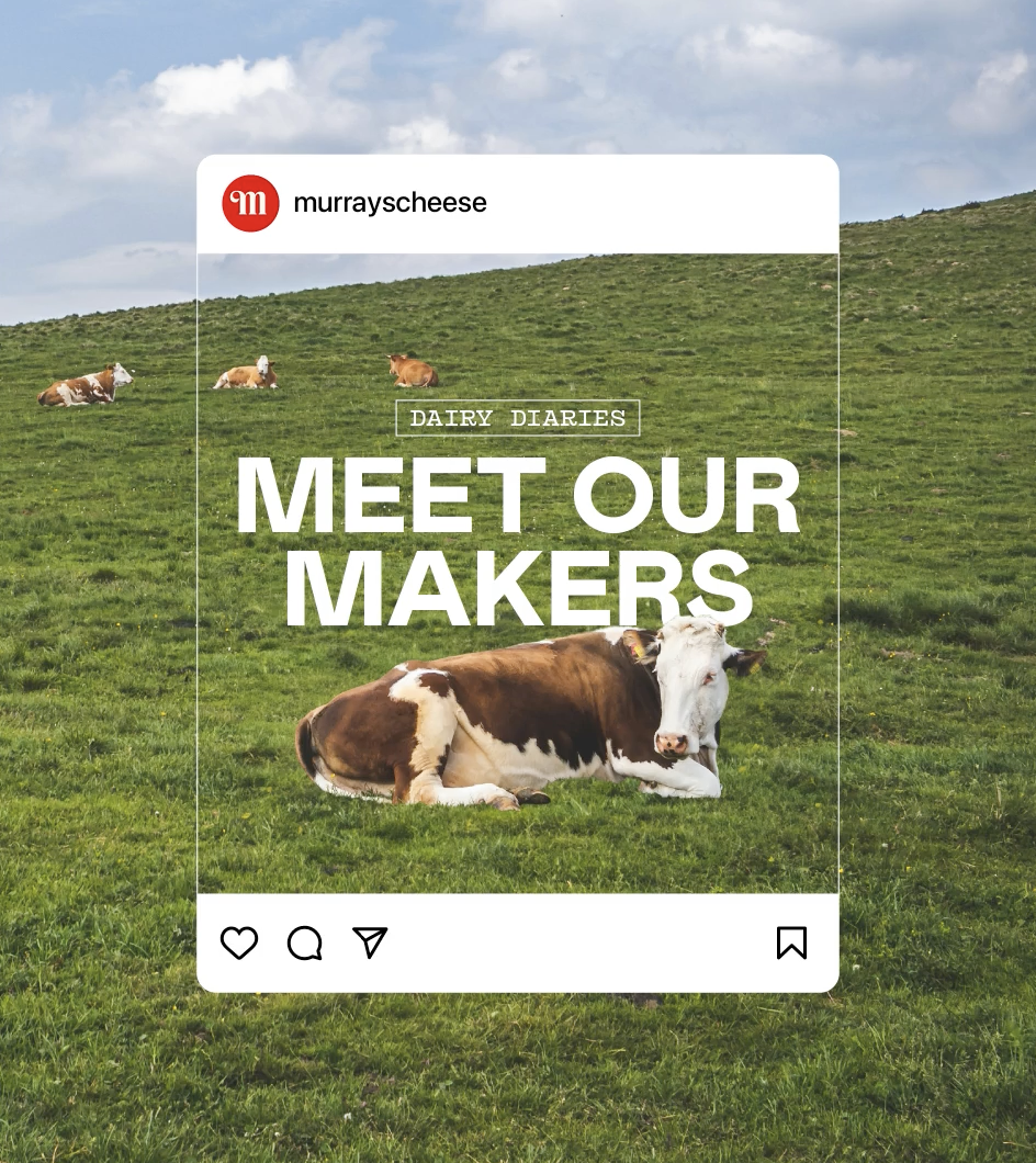 Instagram post: Social post framing cows as makers