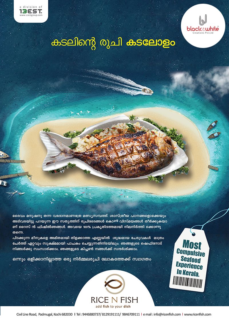 Story: Fish dish framed within ocean imagery