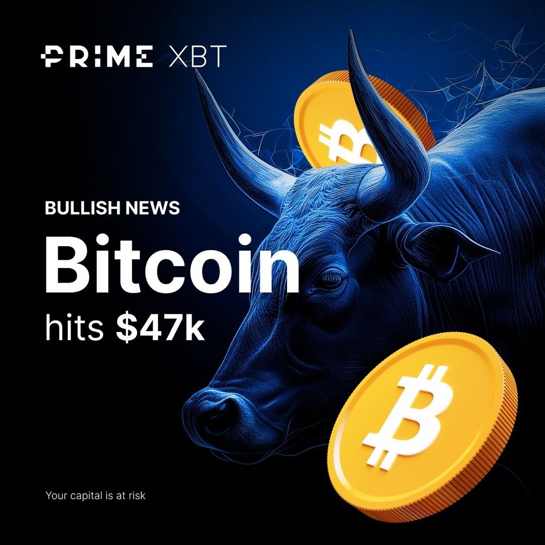 Instagram post: Etched blue bull head with floating gold Bitcoin coins