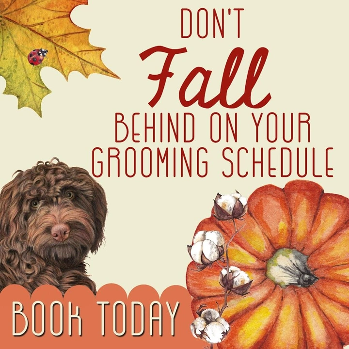 Pet Grooming creative ad: 'Don't Fall behind' autumn pun