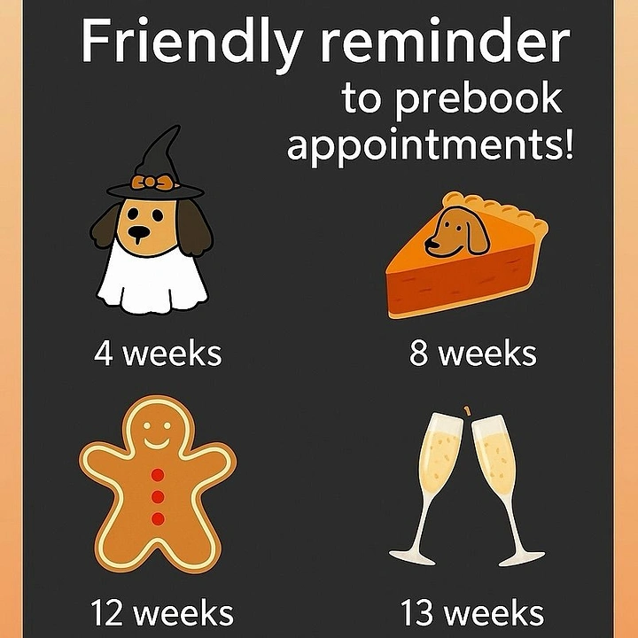 Pet Grooming creative ad: Holiday icons mark the pre-booking weeks