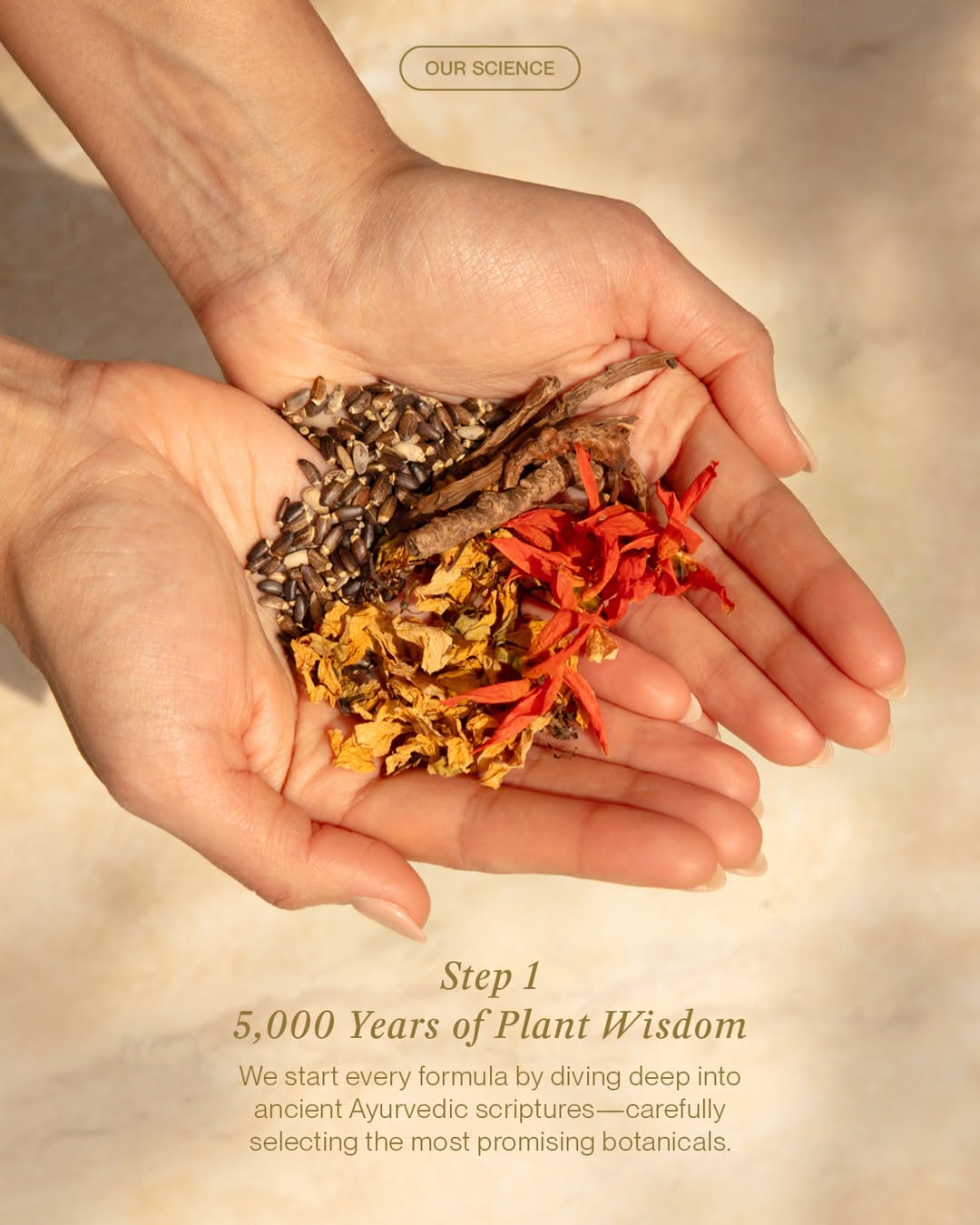 Carousel: Flat-lay of raw herbs in terracotta bowls and glass petri dishes, slide 2