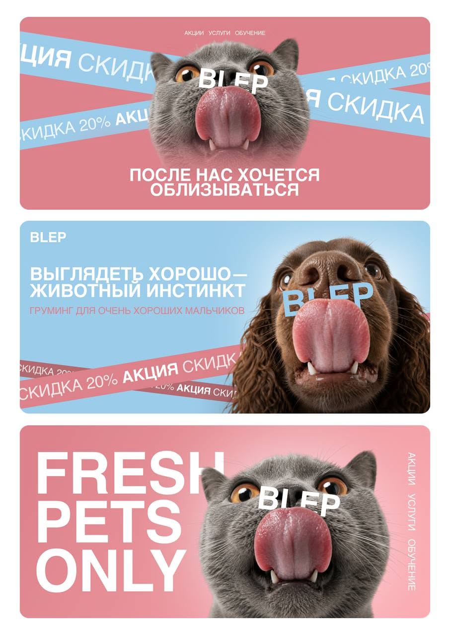 Banner: Close-up cats and a dog sticking out their tongues