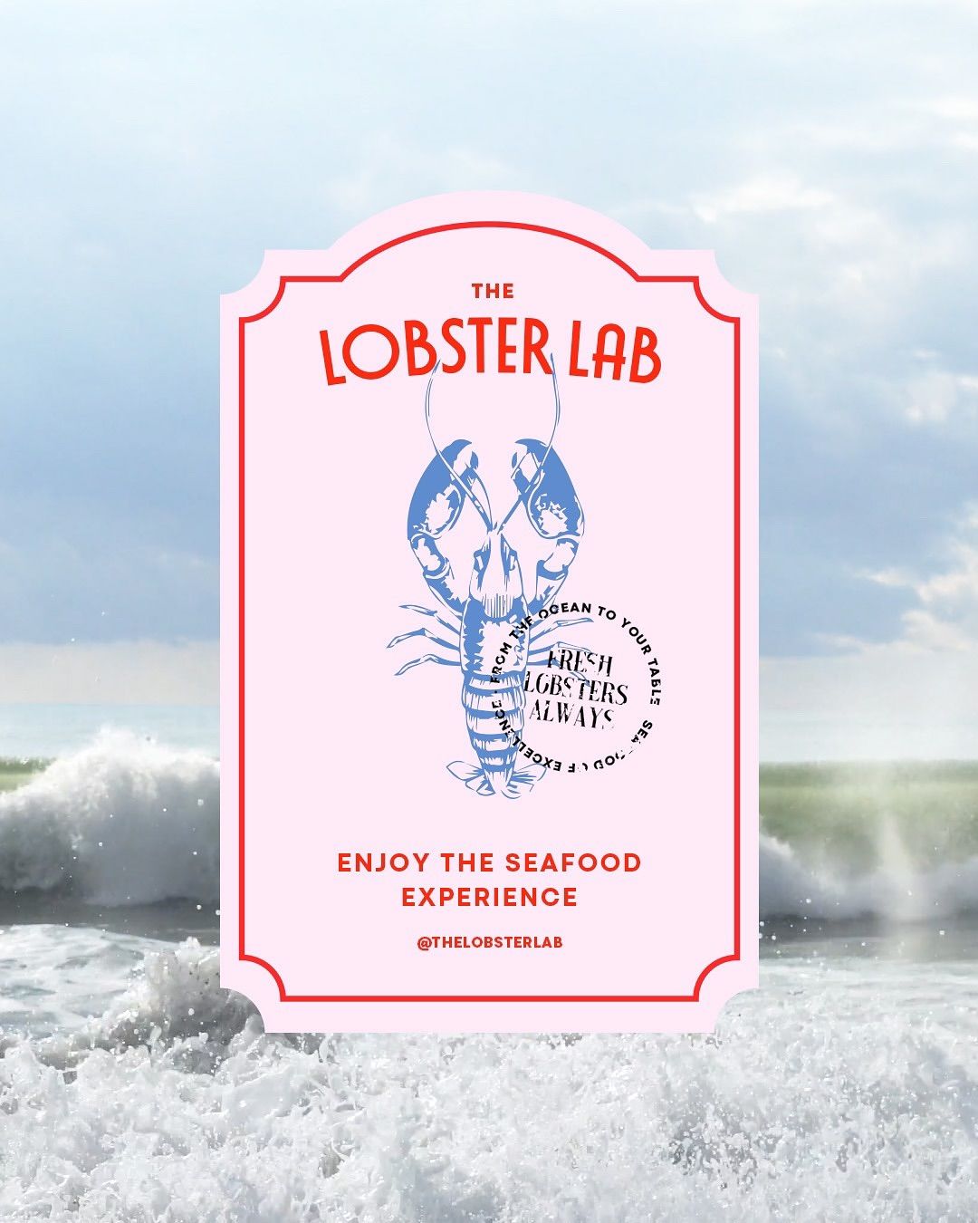 Instagram post: Lobster lab identity creates playful brand world