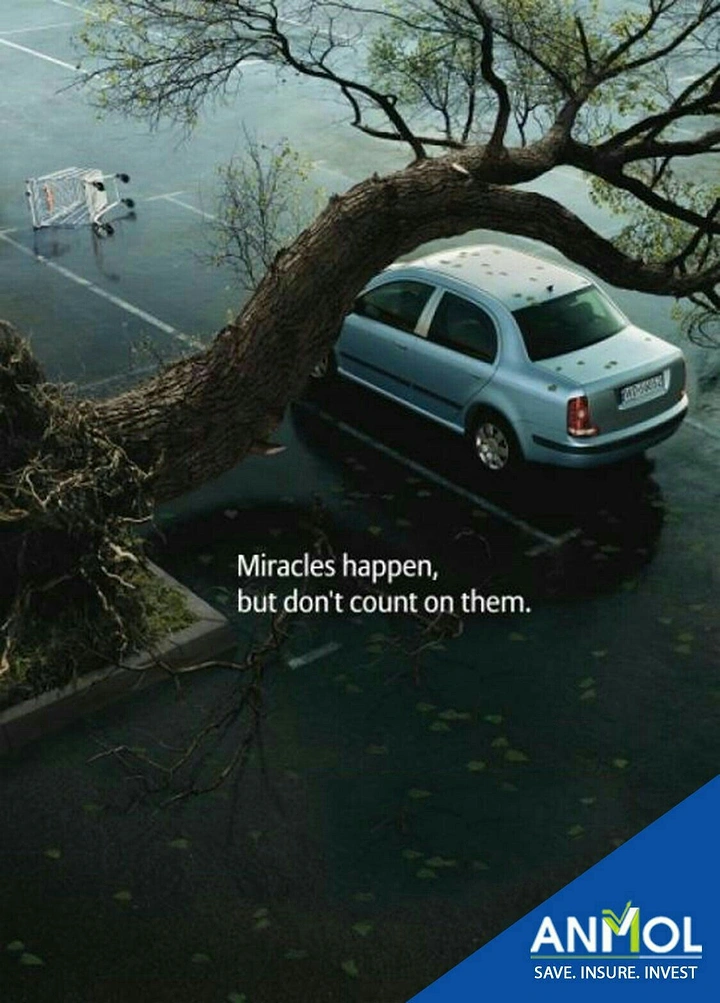 Stock Brokers & Investing creative ad: Uprooted tree fallen in an arch over an undamaged parked car