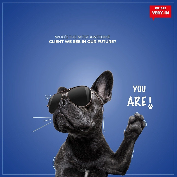 Agency creative ad: Cool bulldog in shades as future client