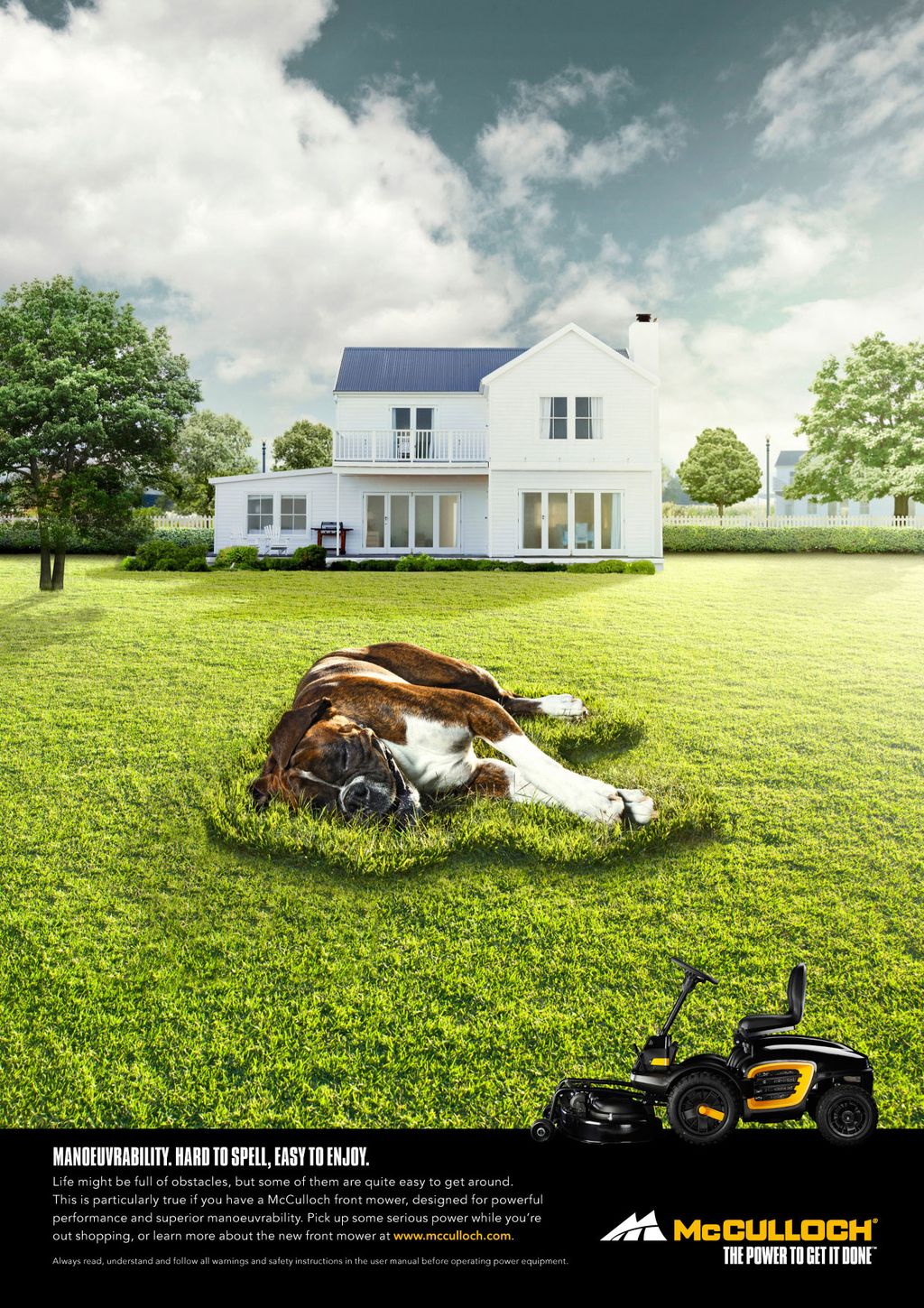 Story: Dog asleep on perfect mowed lawn