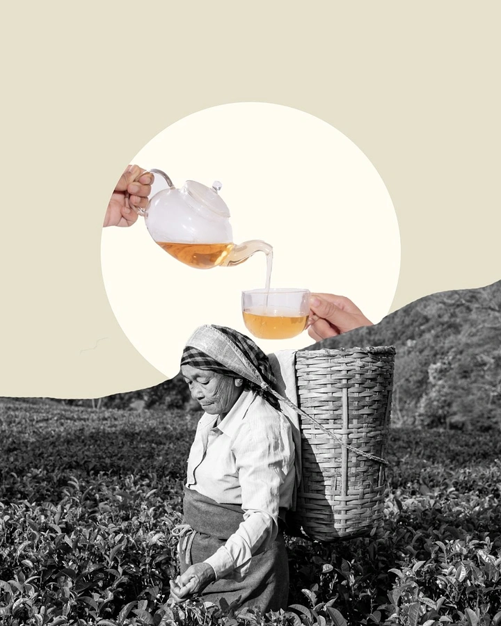 Tea & Chai Brands creative ad: Collage: pour links picker to cup