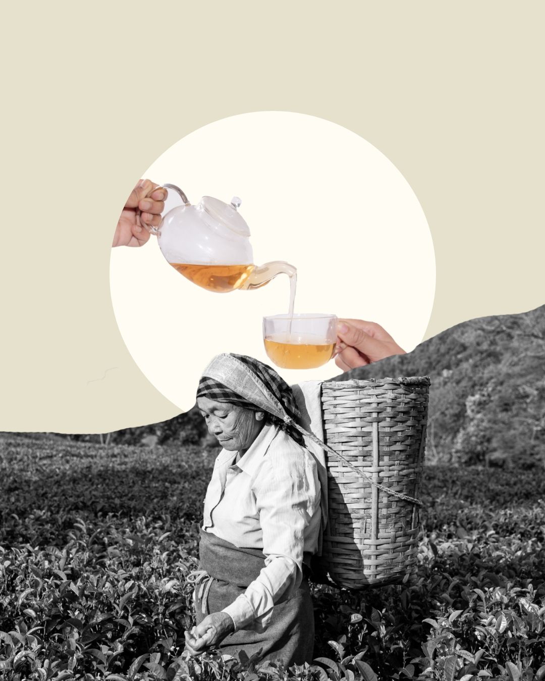 Instagram post: Collage: pour links picker to cup