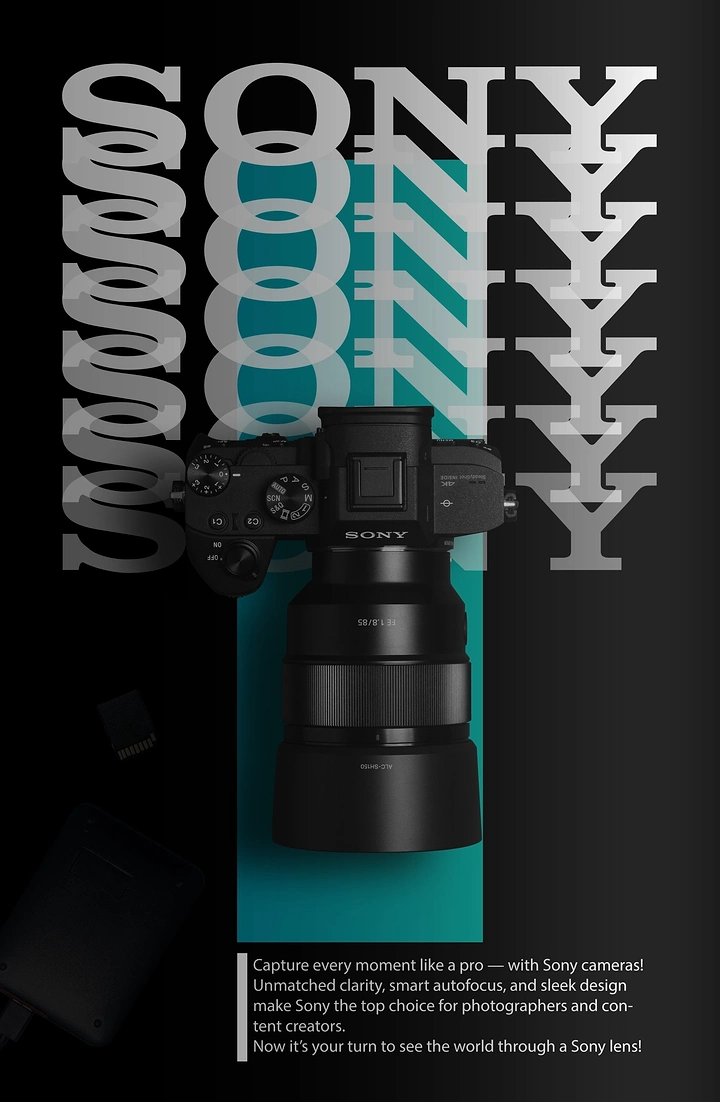 Cameras & Camera Stores creative ad: Camera integrated into repeated Sony typography