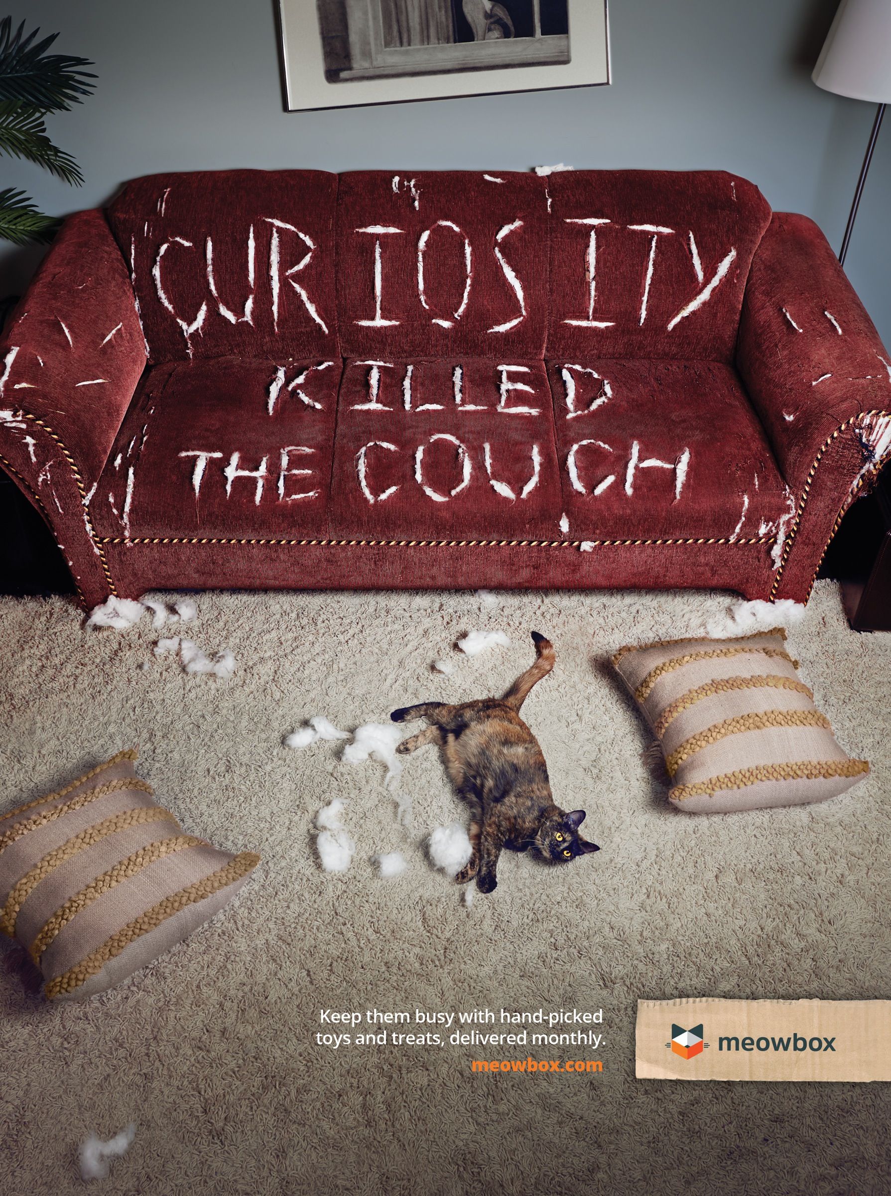 Red velvet couch with the headline scratched into it and a cat lying on the rug