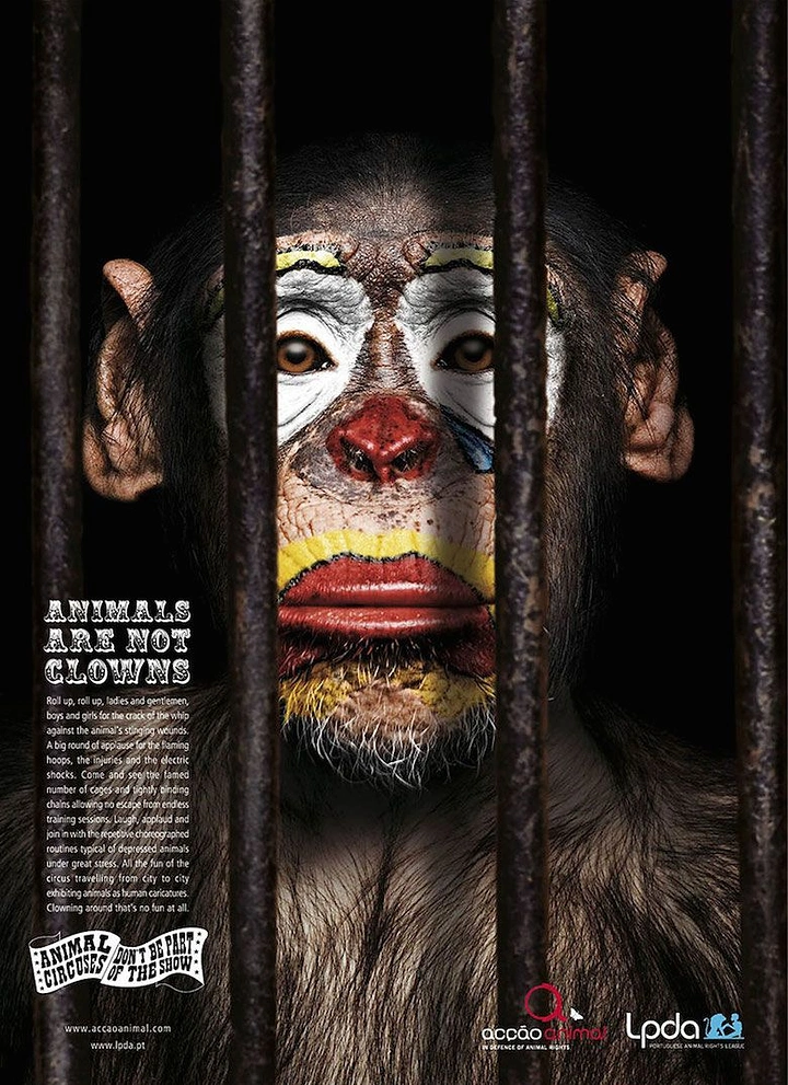 Pets creative ad: Chimpanzee face painted with sad clown makeup behind cage bars