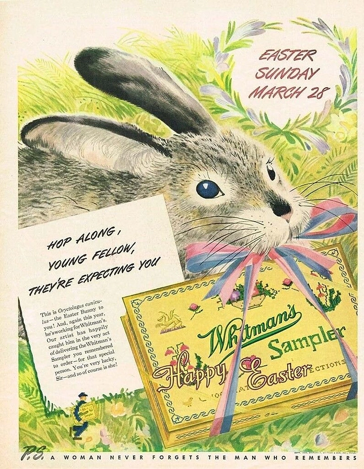 Easter creative ad: Watercolour bunny carrying a ribboned chocolate box